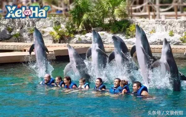 从中国去墨西哥和从美国去墨西哥有什么不同？