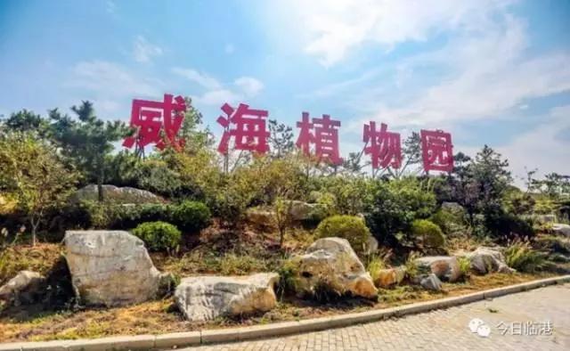 威海临港区有发展空间吗,威海临港区发展得怎么样