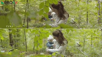 fs7和eva1,fs7和eva1哪个好