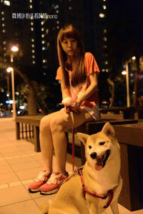 在台北101大楼看台北全景,在台北101大楼顶层看视频