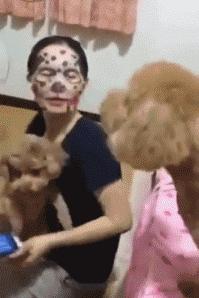 在家敷了片面膜，被狗子看到后，竟被...