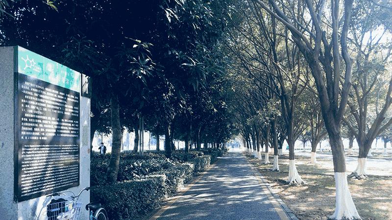 深圳宝安区跑步最佳地点,深圳跑步圣地在什么地方