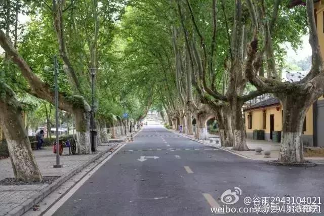 南京文艺小情调的地方,南京比较有小资情调地方