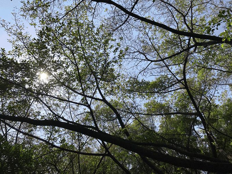 深圳宝安区跑步最佳地点,深圳跑步圣地在什么地方