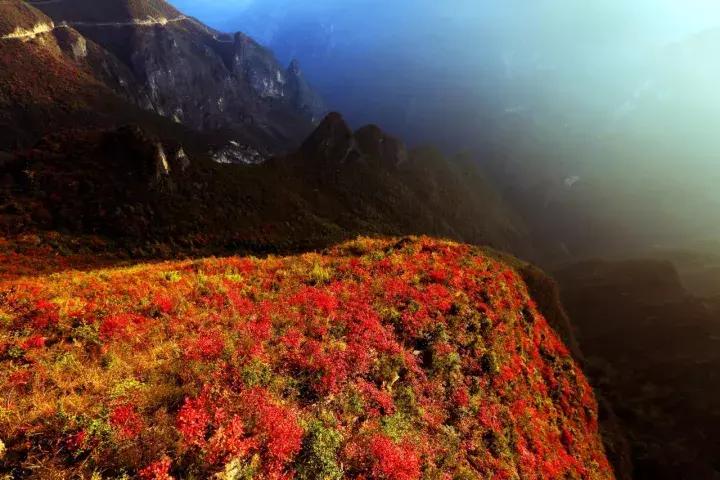 吉木乃县旅游攻略,吉木乃附近游玩的好去处