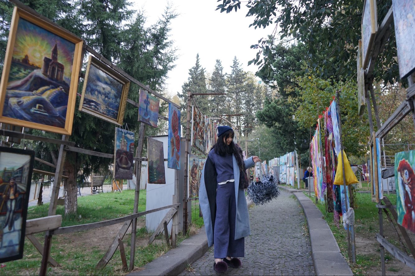 亚美尼亚火车入境格鲁吉亚全攻略,格鲁吉亚入境全攻略