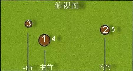 罗汉竹盆景修剪造型,罗汉竹盆景怎么养护和修剪