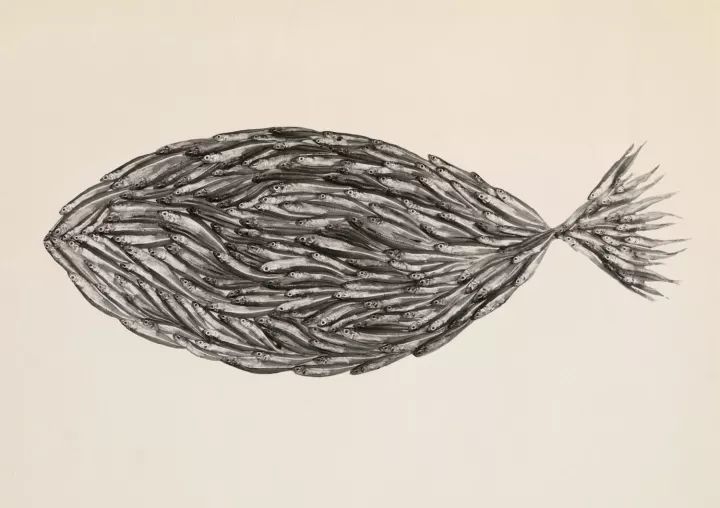 世界摄影大师经典作品欣赏,摄影100张世界摄影大师的黑白作品