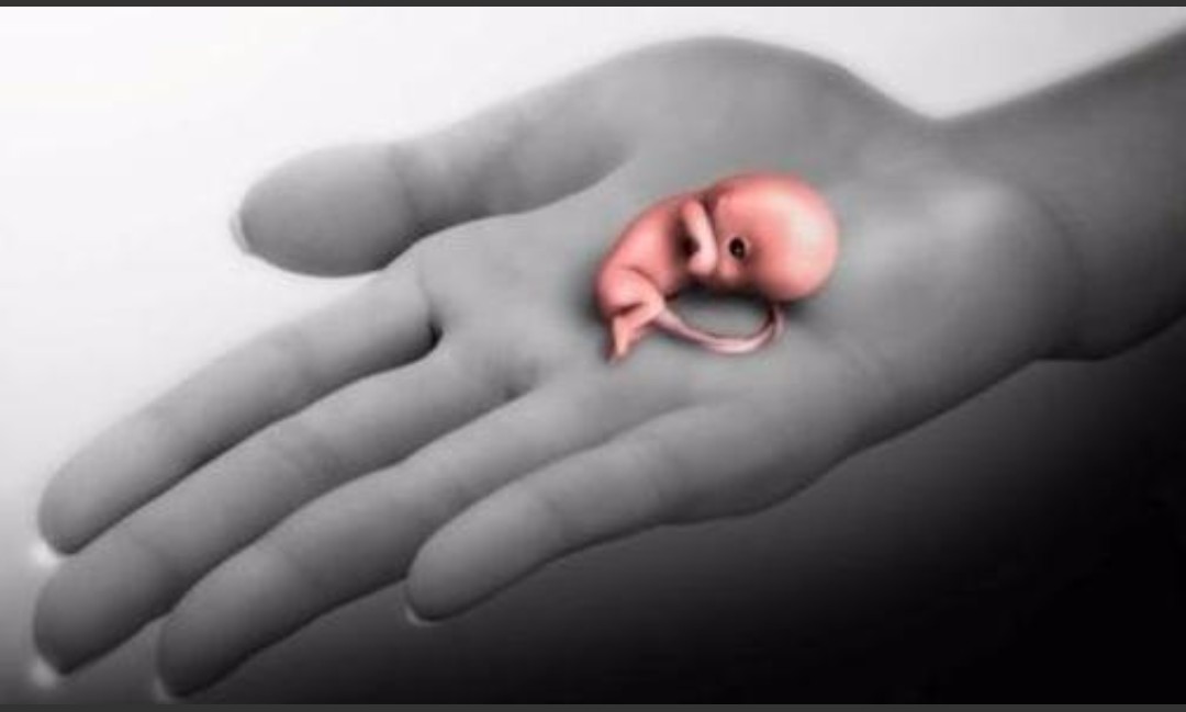 习惯性流产再次怀孕还会出血吗,怀孕出血医生说先兆流产保得住吗