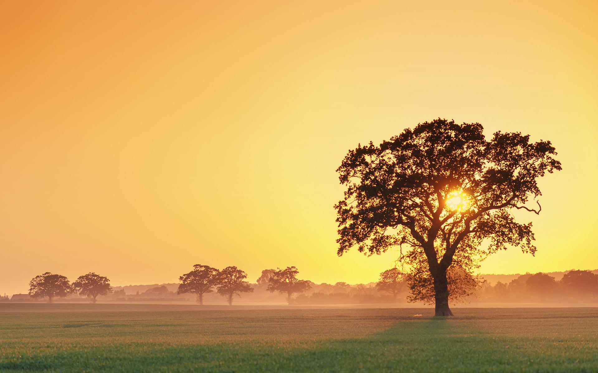 十首中国最美的长篇现代诗,十首现代最美诗