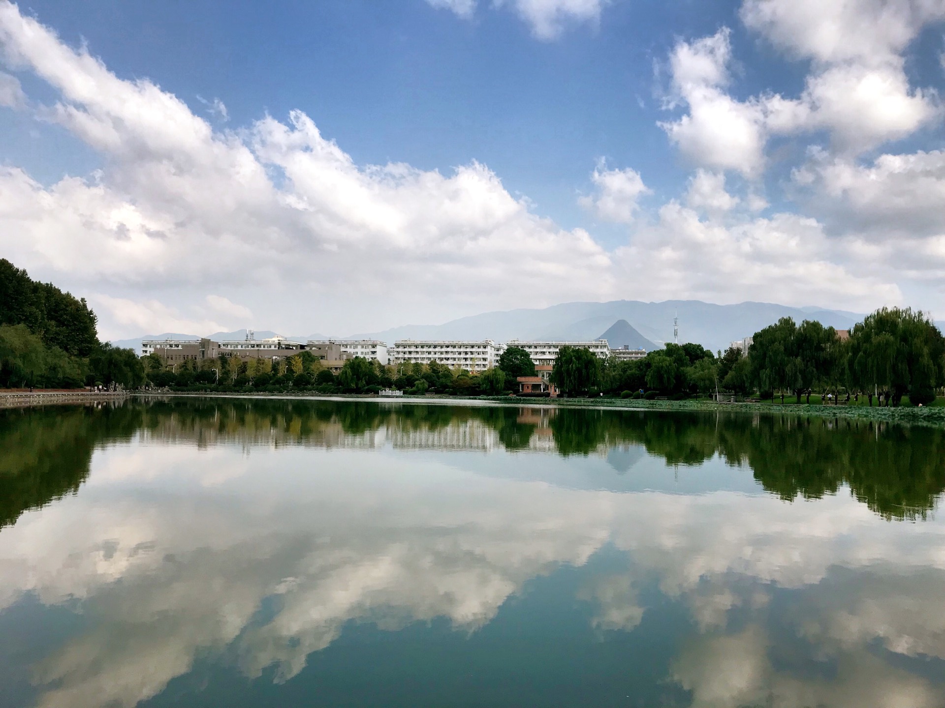 这是，浙师！双龙学者王辉教授眼中的师大，美不胜收！