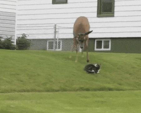 姣忔棩绗戞姤鐖嗙瑧璇綍,姣忔棩绗戞姤2014