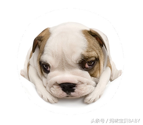 怀孕十一周胎儿长什么样,孕十一周的胎儿有多大