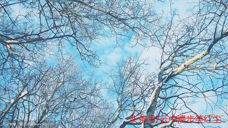 用纯净的心灵发现人生的美,人世间真正的美