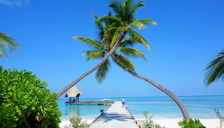 卡娜丽芙岛对比南棕榈岛,卡娜丽芙岛