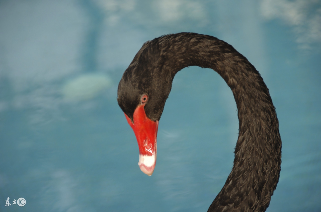 国民技术5亿投资款,国民技术300077股票