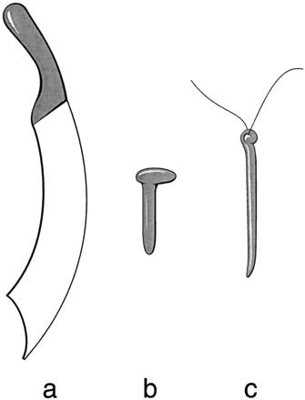 后宫刑是什么,宫刑正式废除在什么时期