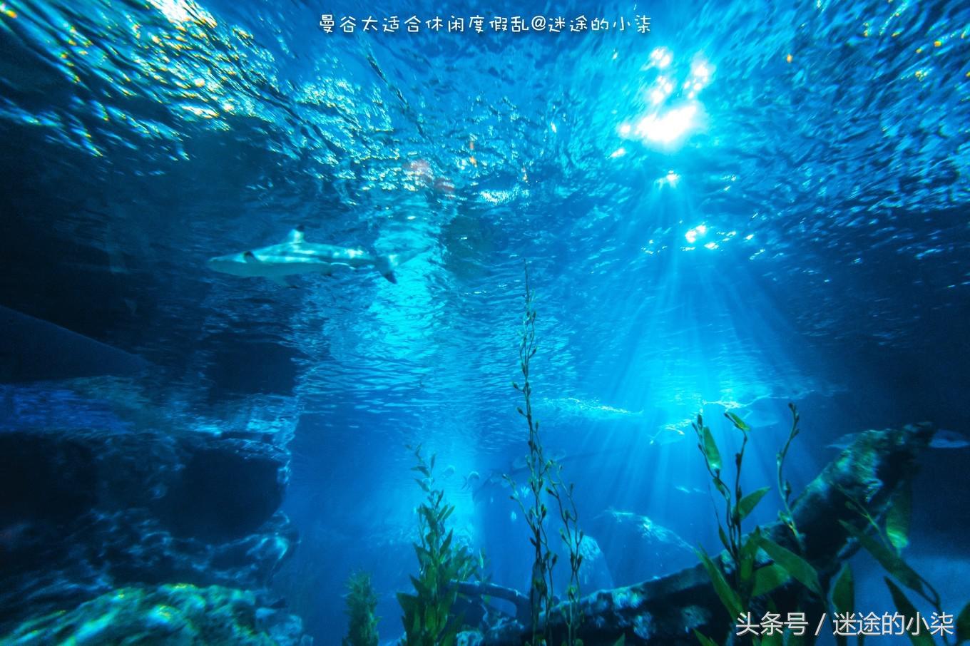 曼谷王权免税怎么买表,泰国王权免税店购买欧米茄划算么