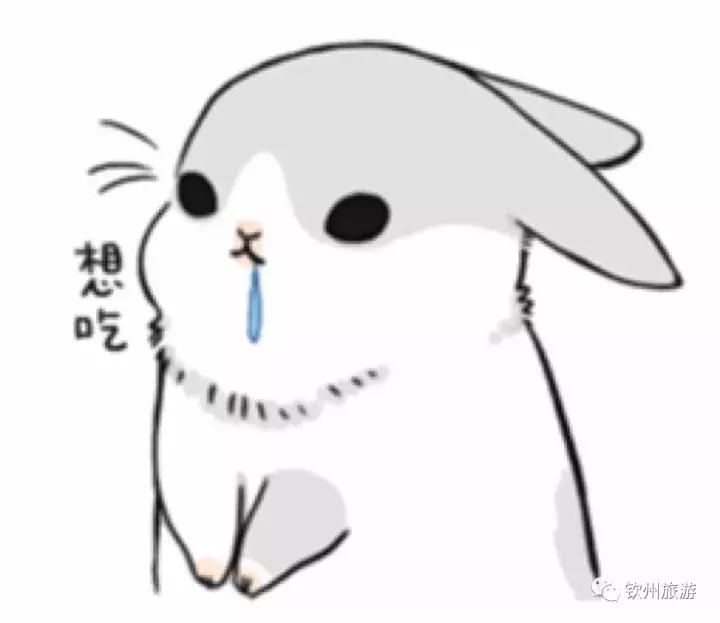 钦州有生蚝吗,钦州哪里的大蚝便宜