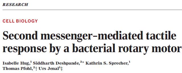 science新冠嗅觉,science细菌多样性