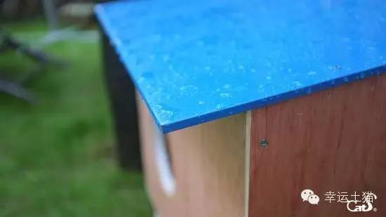 2017温暖继续！感谢CATS慈善基金连续五年为流浪猫提供温暖冬屋！