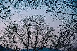 广播文章精选唯美,广播稿精选100字