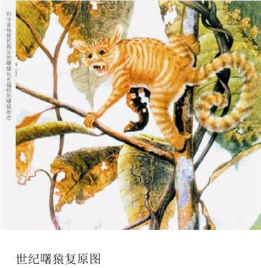 山西黄河根祖文化,山西各省的祖先