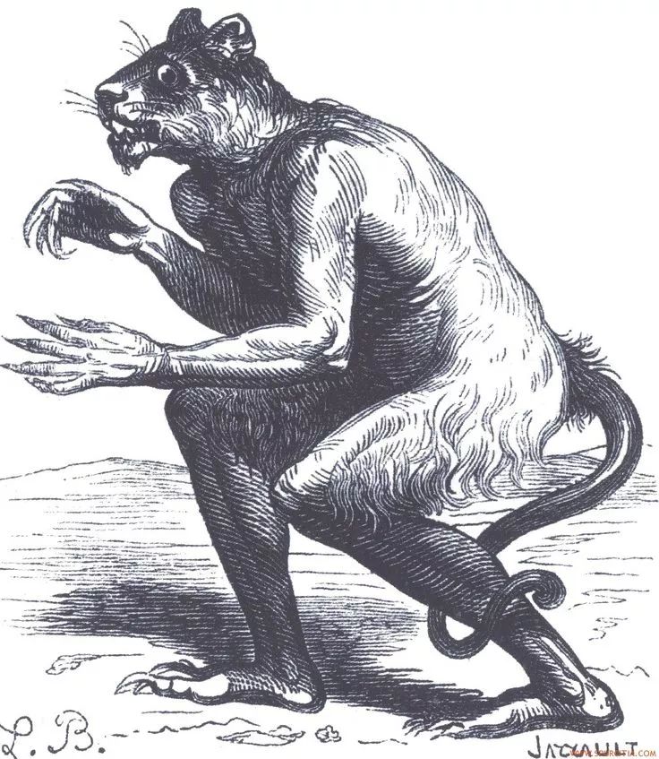 当我们谈论死亡与生命,当我们谈论死亡时我们在谈论什么