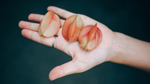 豆瓣日记碎碎念,豆瓣日记完整版