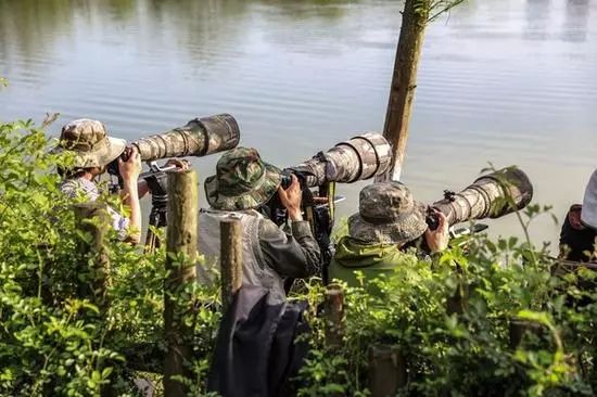 不知道几句摄影圈“黑话”，还怎么混！