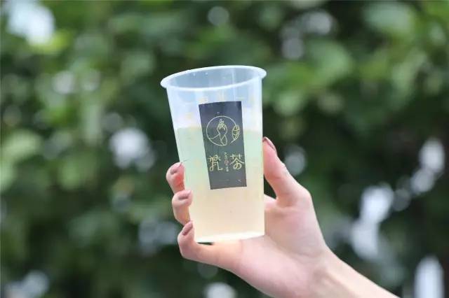 「青粉福利」火遍全国的梵茶免费喝，还不快来！