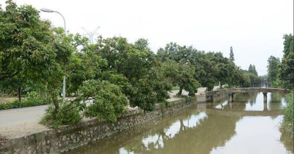 对话｜中山“北大门”东凤镇将要迎来新一轮的大升级！听杨安队说了什么？