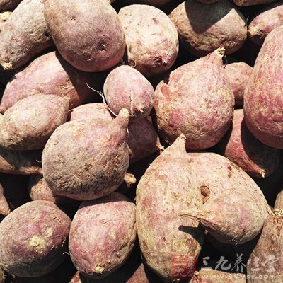 生龙凤胎有什么秘诀技巧,如何怀龙凤胎的秘诀