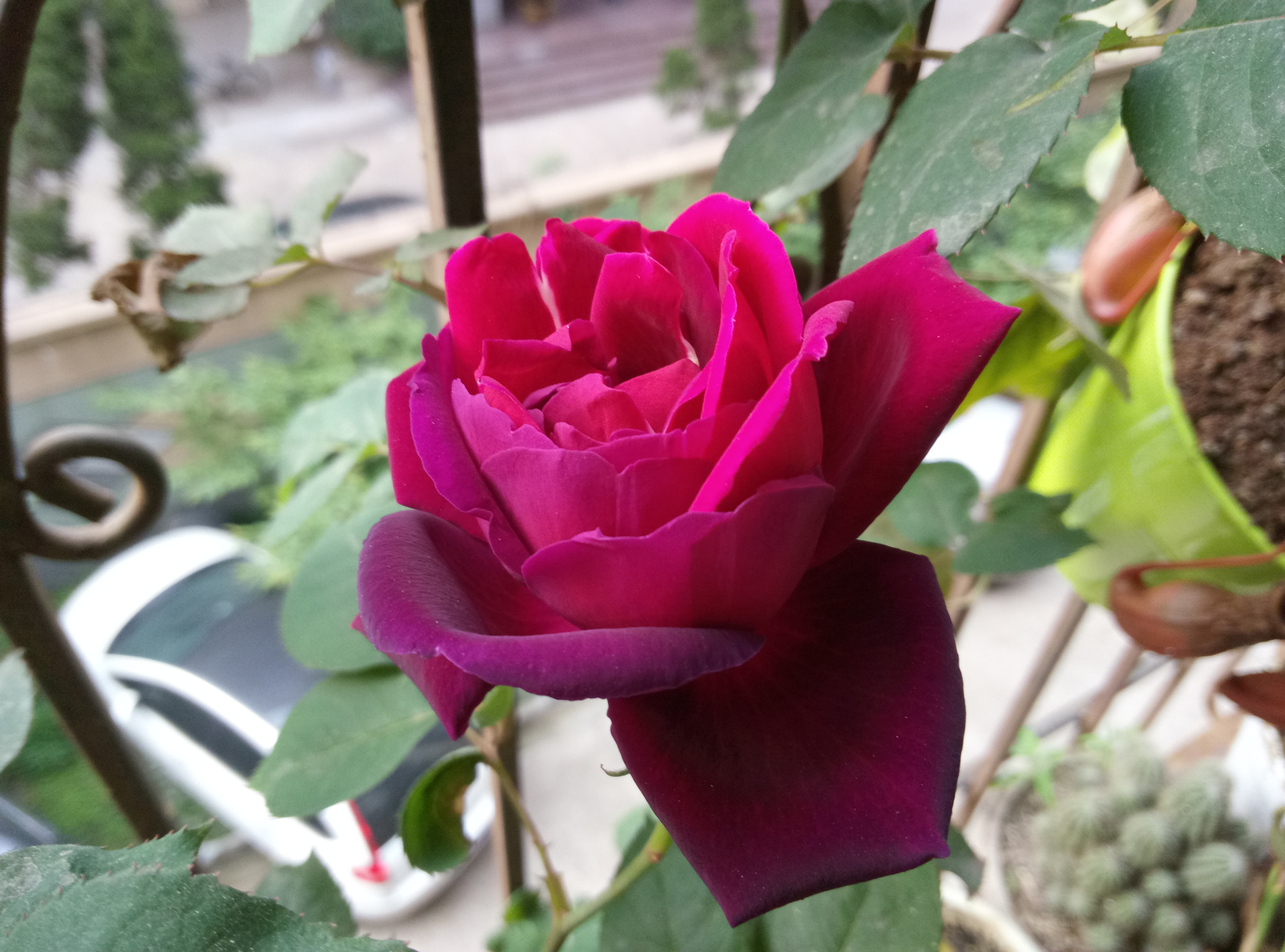 魅蓝note3现在还够用吗,魅蓝note3好吗