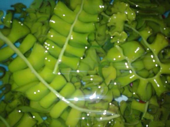 那些不认识的海鲜小干货,超级干货2022