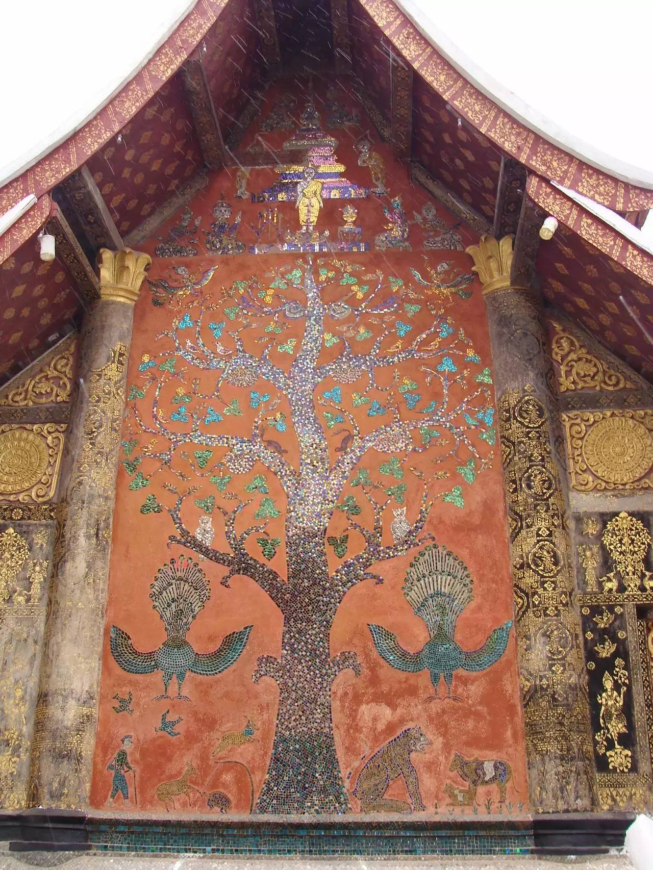 过去时116|神奇的迷幻蘑菇