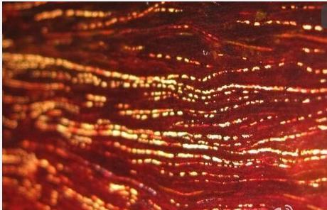 小叶紫檀各种纹路大全,小叶紫檀木的纹路有哪些