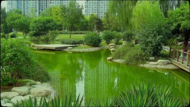 天津最值得去的公园排名榜前十,天津津南区值得游玩的公园