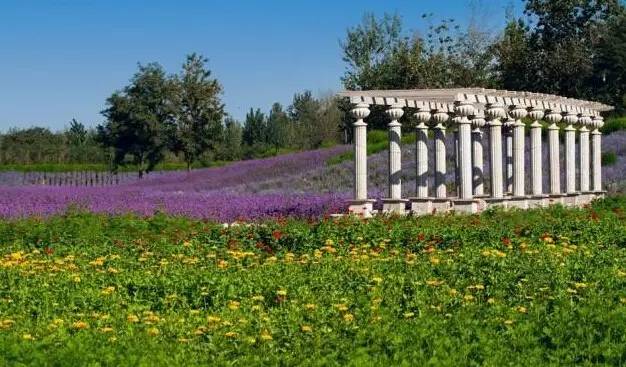 石家庄还藏着这样的宝藏露营地,石家庄最佳露营赏花地点