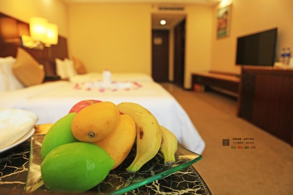 有一种春天叫牡丹花开,有一种春天叫花开艳丽