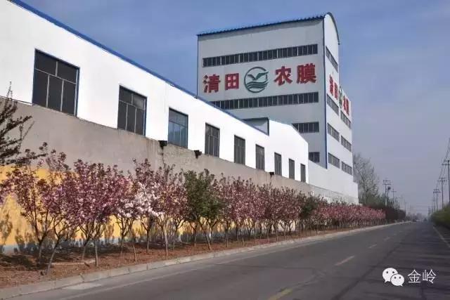 临淄:特色小镇的春天——金岭敬仲朱台齐陵