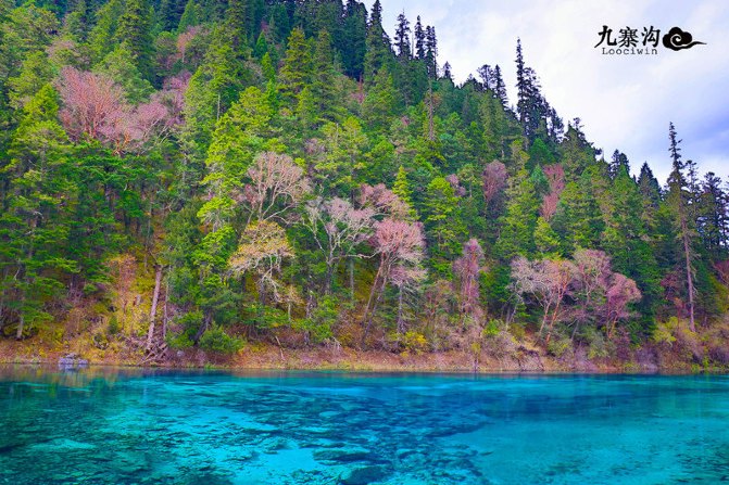 鍛宠暰娴佽繛蹇樿繑,鍛宠暰鐣欐亱