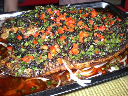 十种经典鱼做法大全视频,最简单的老鱼做法