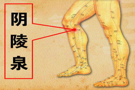 谷雨时节健脾祛湿,谷雨祛湿气最快的食谱