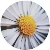 哼，就是恐吓你们这些购房者！真相居然是？