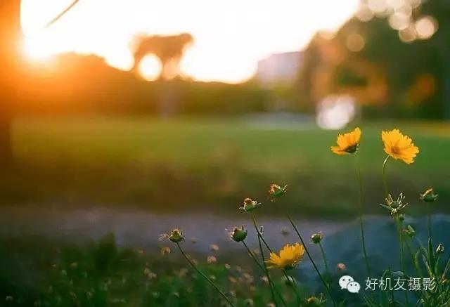 有什么办法防眩光,简单又轻松快速学会灯光