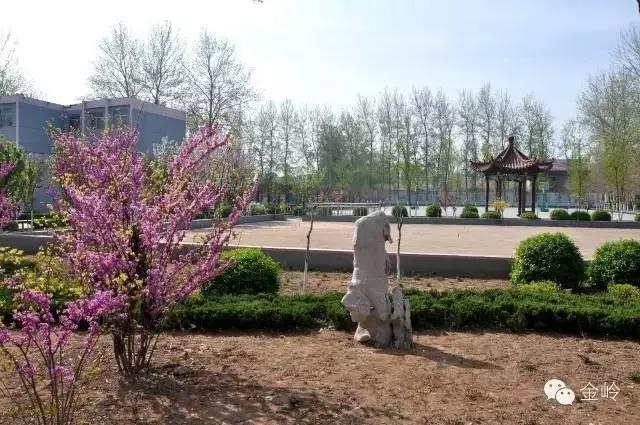 临淄:特色小镇的春天——金岭敬仲朱台齐陵