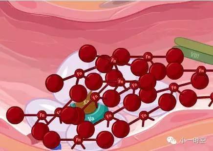 血友病基因治疗一期成功了几个人,最新基因治疗根治血友病