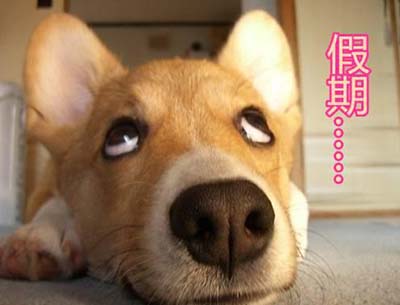 五一假期就这样过了,五一假期过后你有什么计划呢