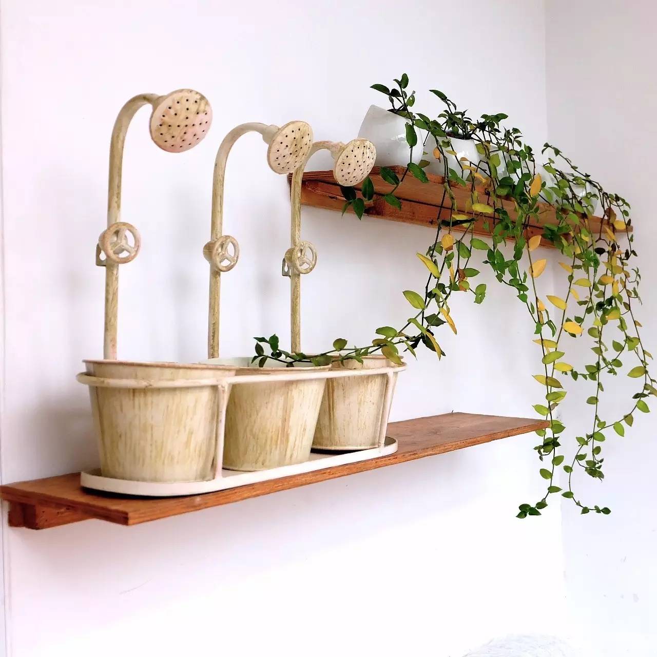 小米院子高端定制,小米智能院子